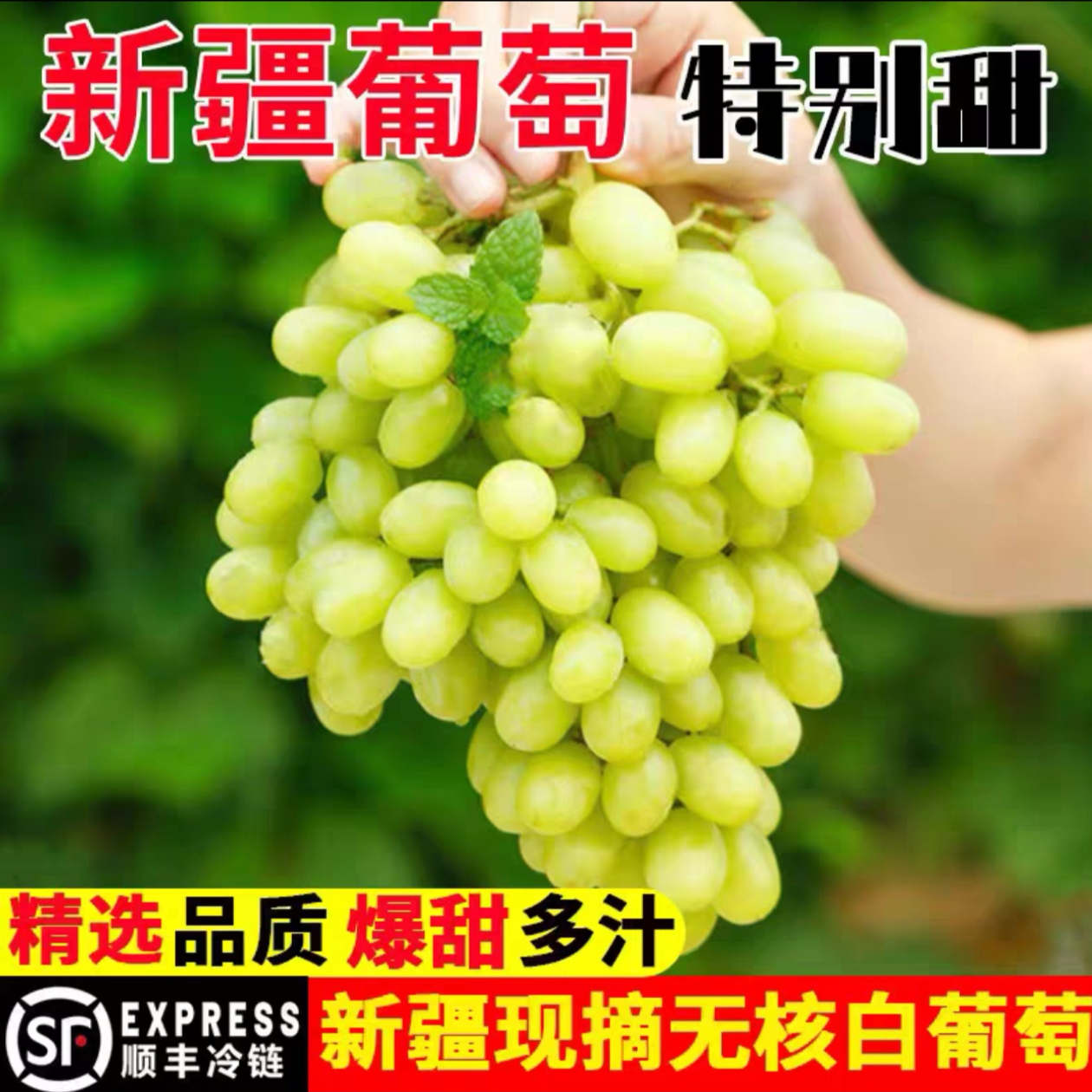 【先亏10万单,全网比价】新疆吐鲁番无核白葡萄顺丰包邮核心产区新鲜采摘爆甜多汁新疆维吾尔自治区