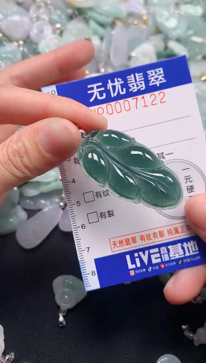 颈饰未镶嵌翡翠7122