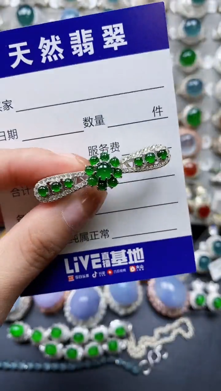 【闪购商品】翡翠颈饰银S925镶嵌0166