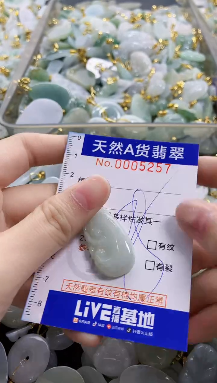 颈饰未镶嵌翡翠纯天然a货翡翠