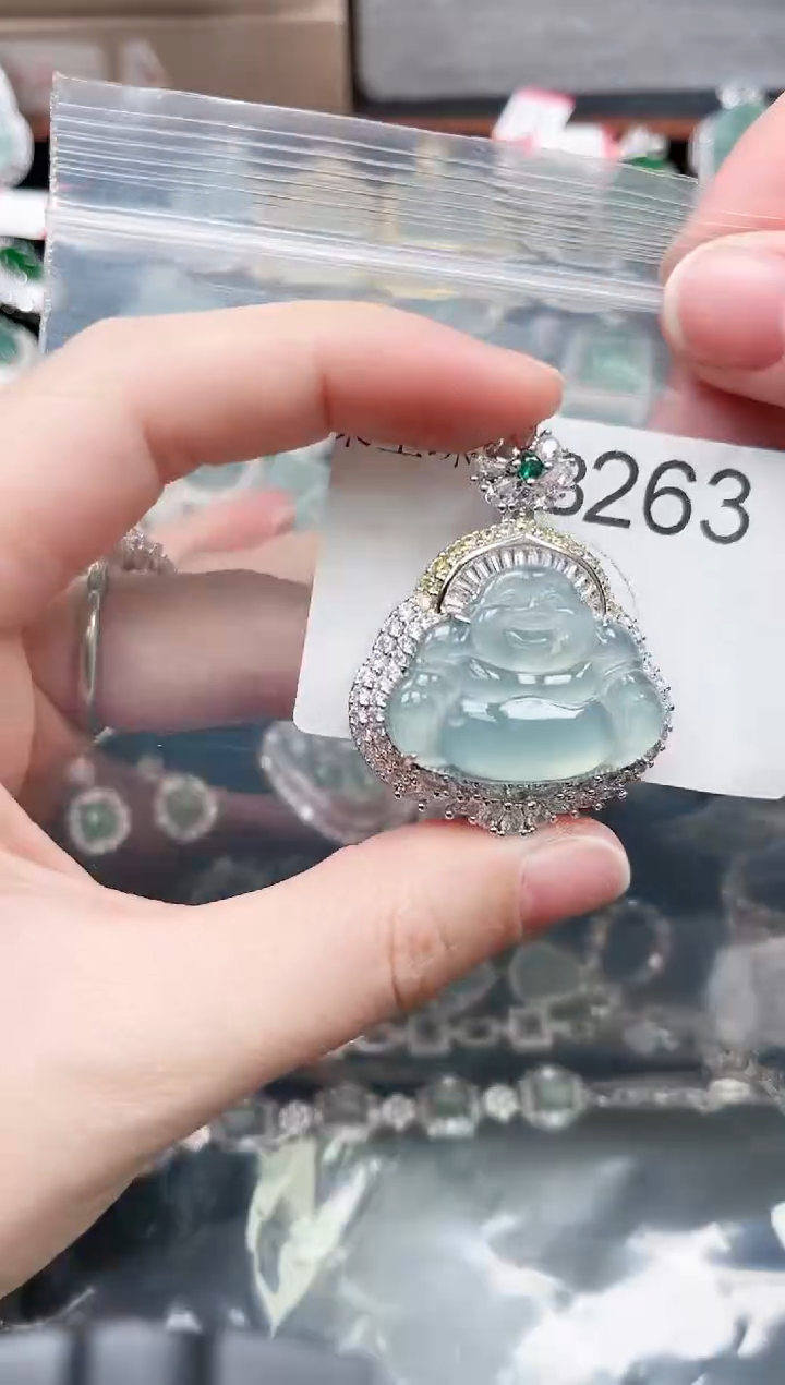 【闪购商品】翡翠颈饰未镶嵌263赠皮绳