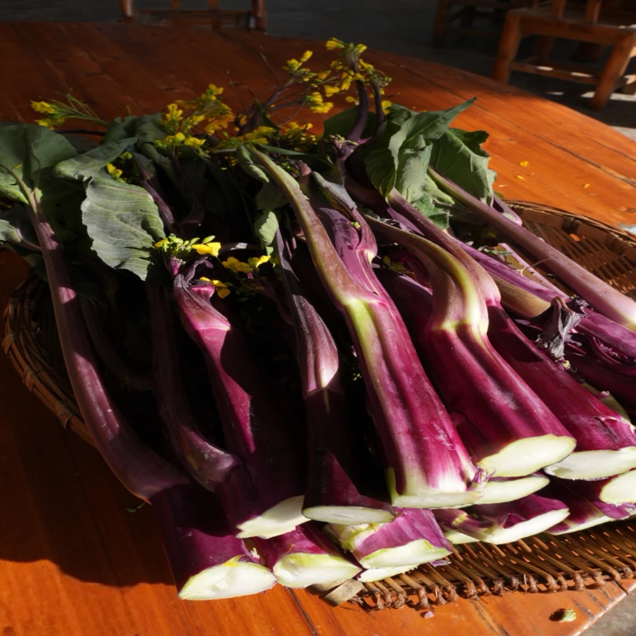 富硒红菜薹农家自种露天种植现摘新鲜