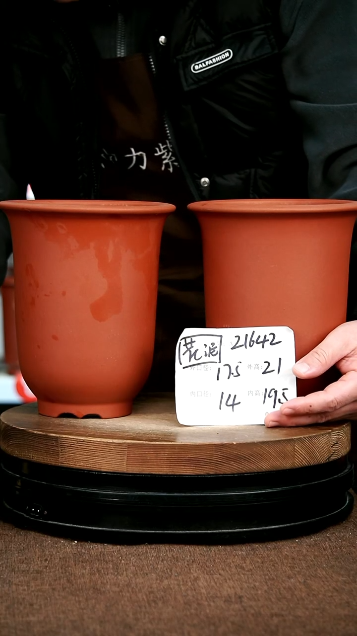 紫砂花盆花卉园艺微瑕21642