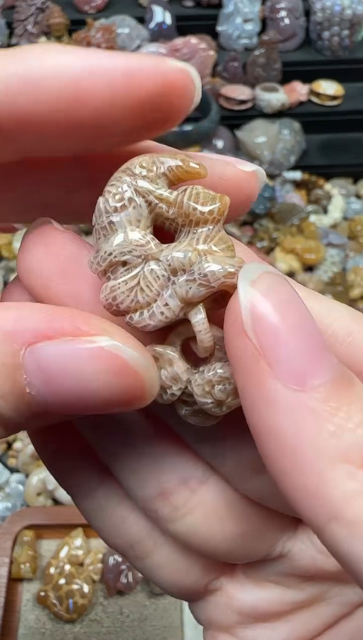 颈饰未镶嵌硅化珊瑚（珊瑚玉）381