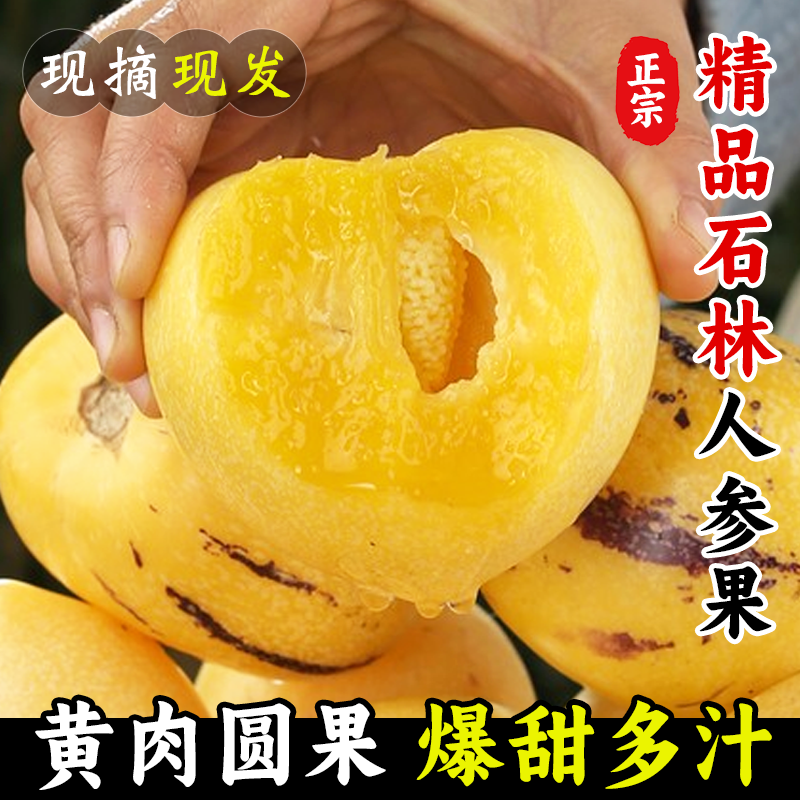 【云南石林人参果】现摘树熟应季清甜多汁新鲜水果云南黄心正宗