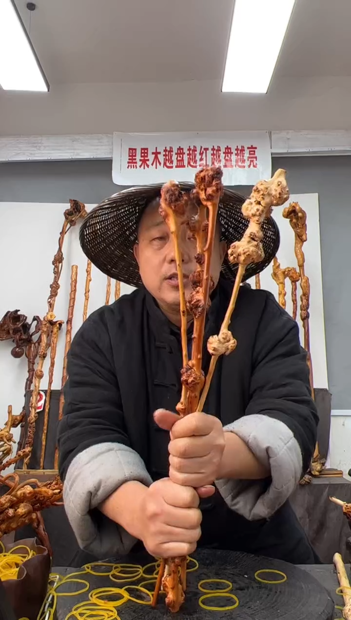 【闪购商品】黑果木其他黑果木307