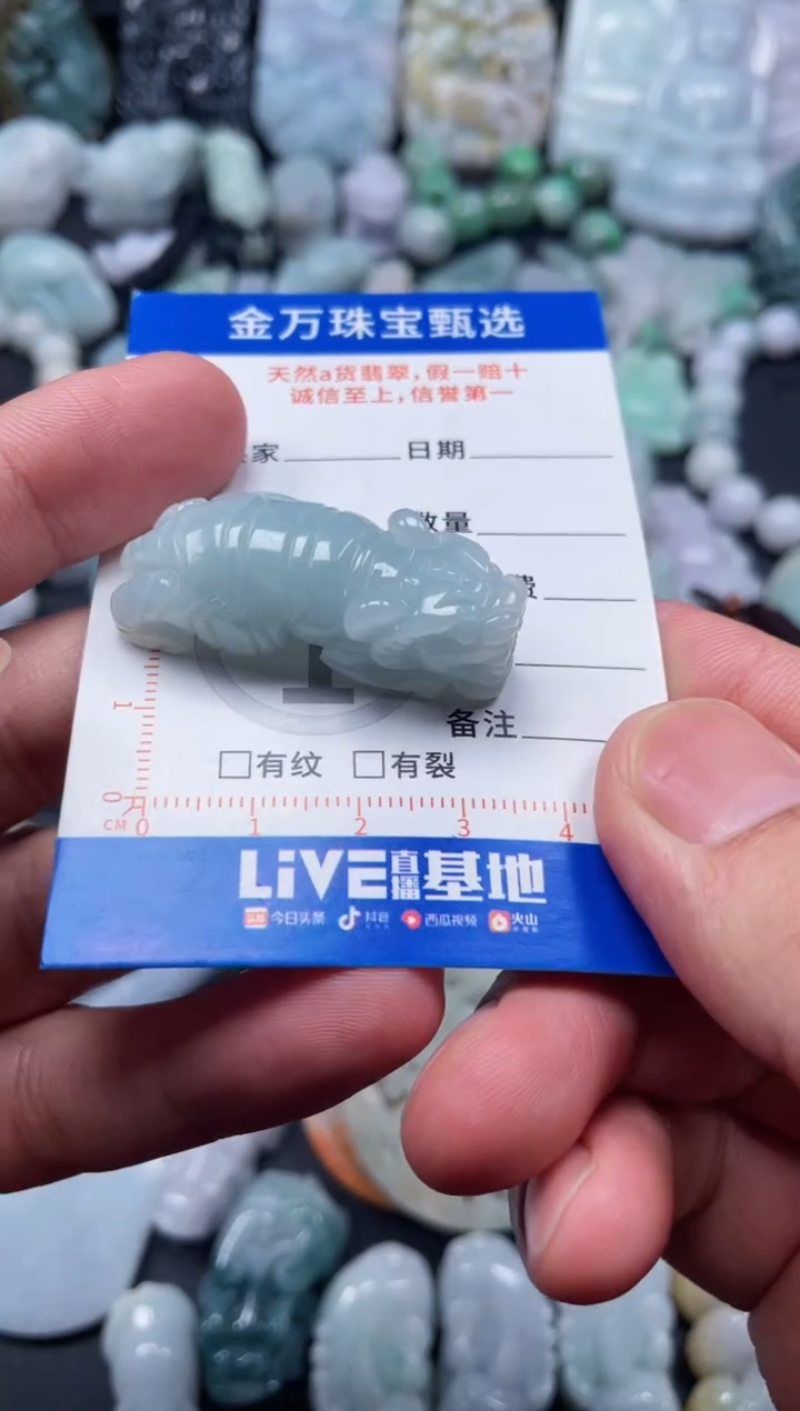 翡翠未镶嵌颈饰天然翡翠a货