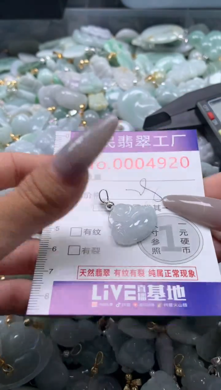 颈饰未镶嵌翡翠4920