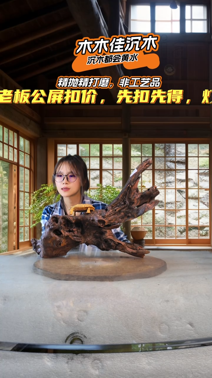 王**?木木佳鱼缸造景沉木-746