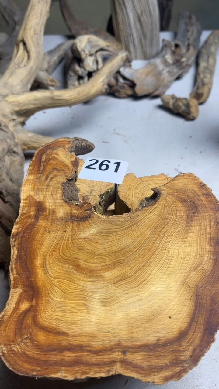 柏木（崖柏）鼎**老太行崖柏香片