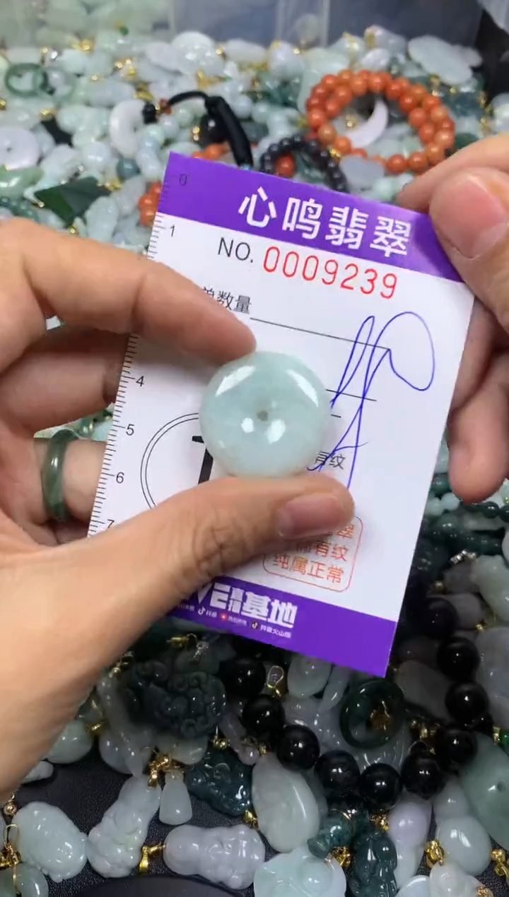 【闪购商品】翡翠颈饰未镶嵌闪购009239