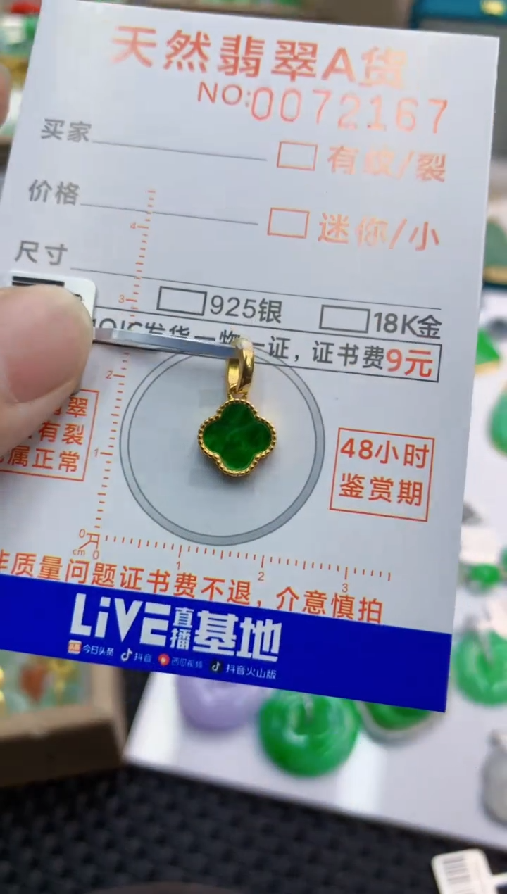 翡翠银S925镶嵌颈饰        1