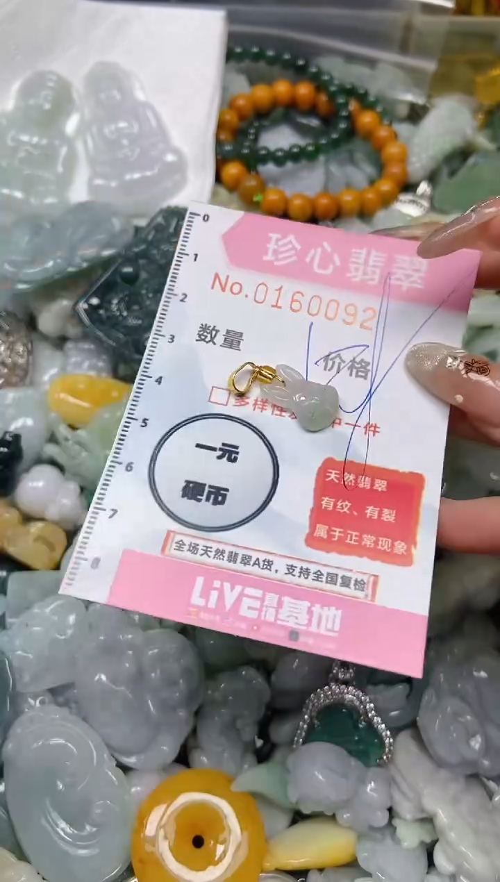 【闪购商品】翡翠颈饰未镶嵌闪购0160092