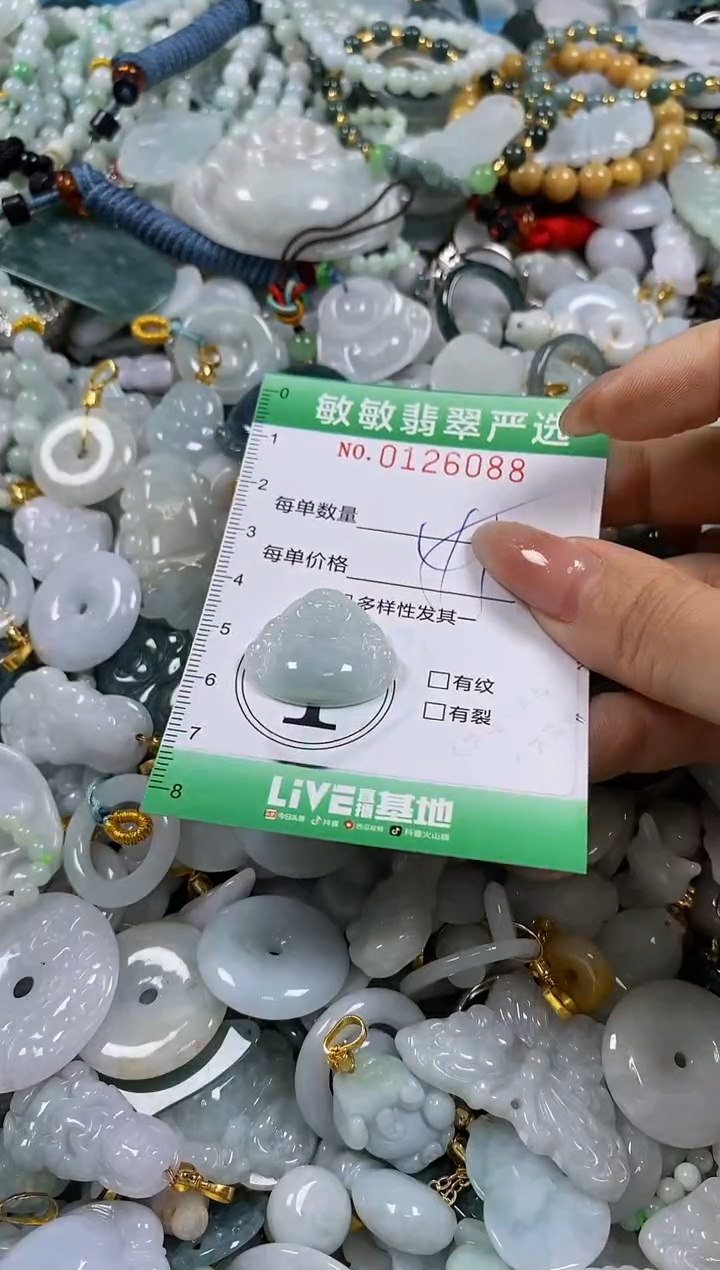 【闪购商品】翡翠颈饰未镶嵌闪购0126088