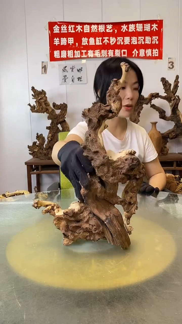 香榧木一****5金丝红木 羊蹄甲