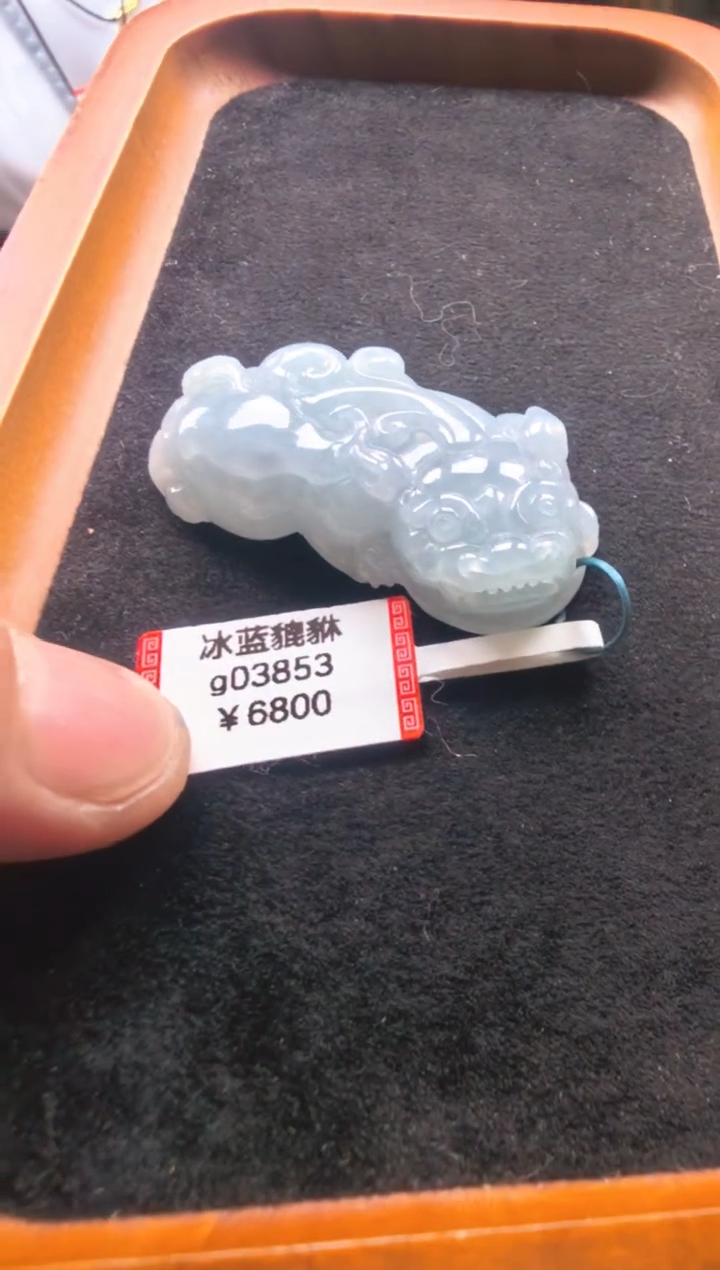 颈饰未镶嵌翡翠g03853-冰蓝貔貅