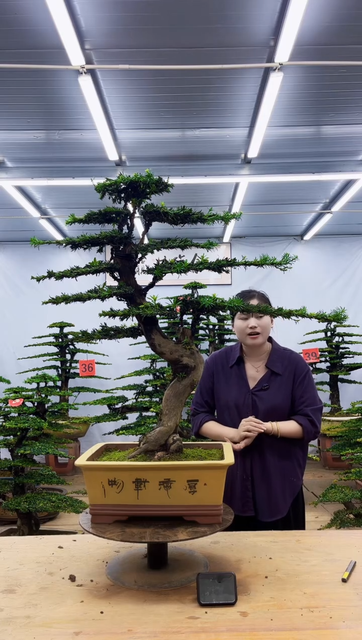 无花朵一物一拍，所见即所得