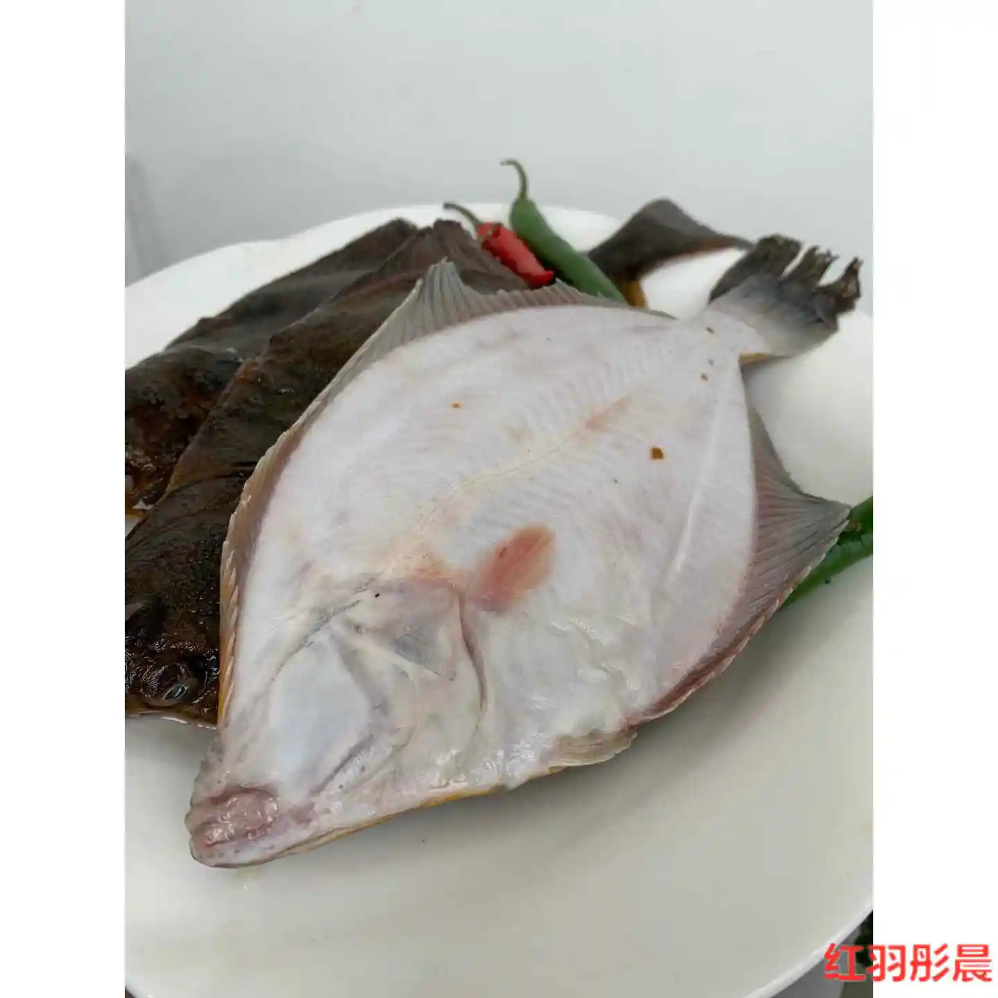 大连野生偏口鱼中号（顺丰包邮）