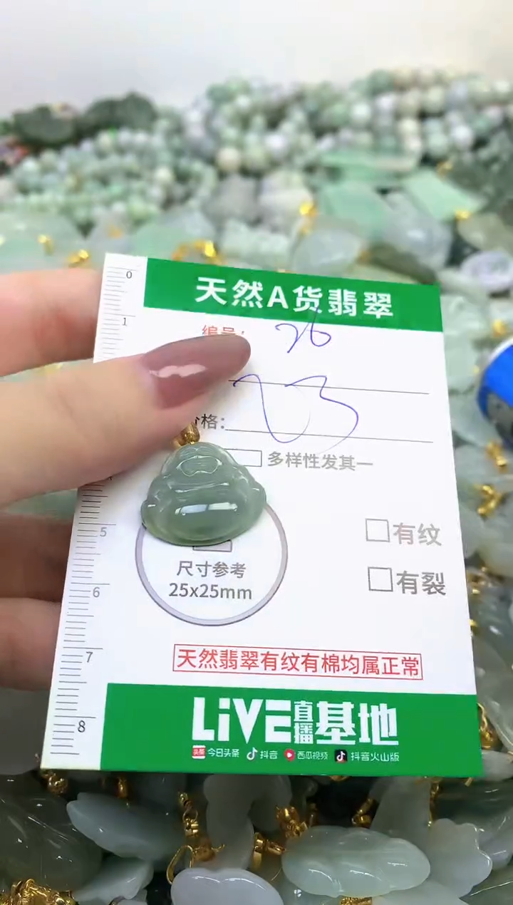 颈饰未镶嵌翡翠纯天然缅甸A货翡翠