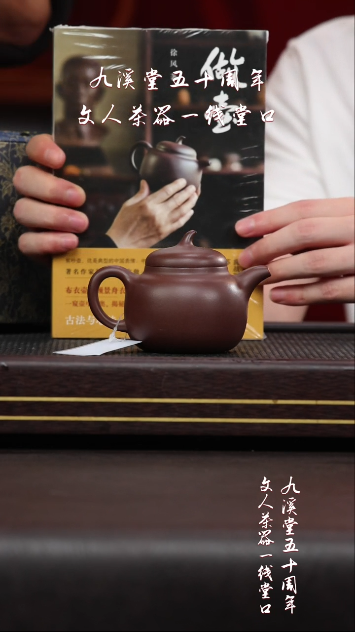 黄龙山原矿紫砂壶21