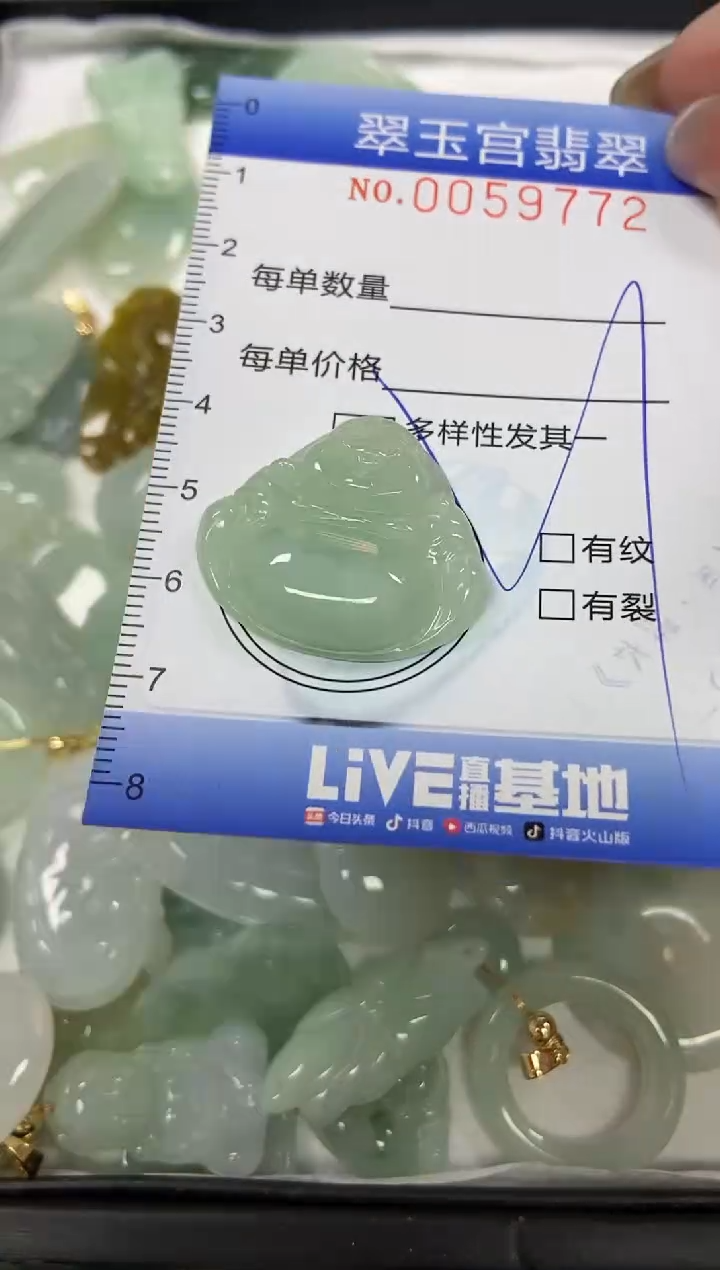 【闪购商品】翡翠颈饰未镶嵌闪购0059772