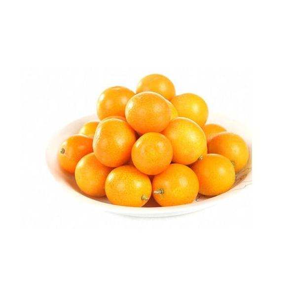 金桔金桔王320g广西