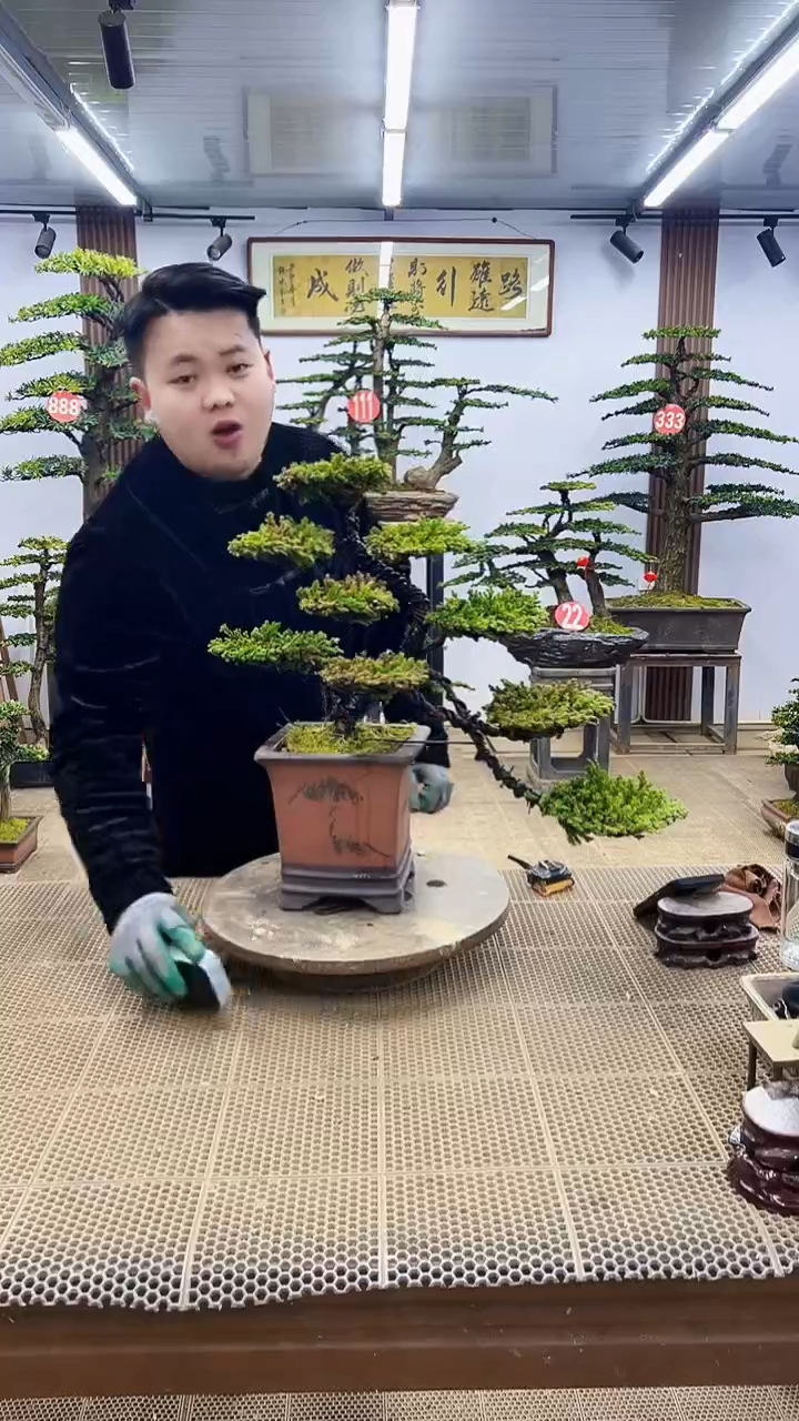 【闪购商品】00000000