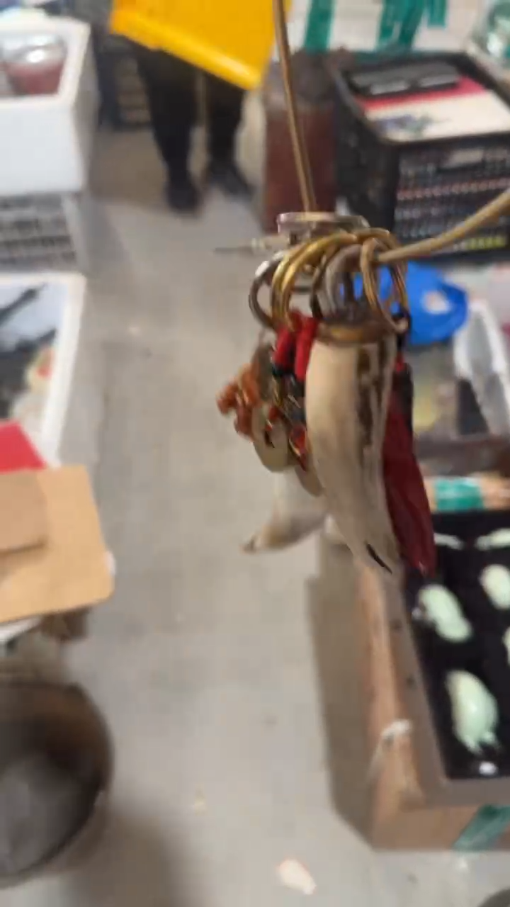 茶盏玩**志直播闪购改价链接