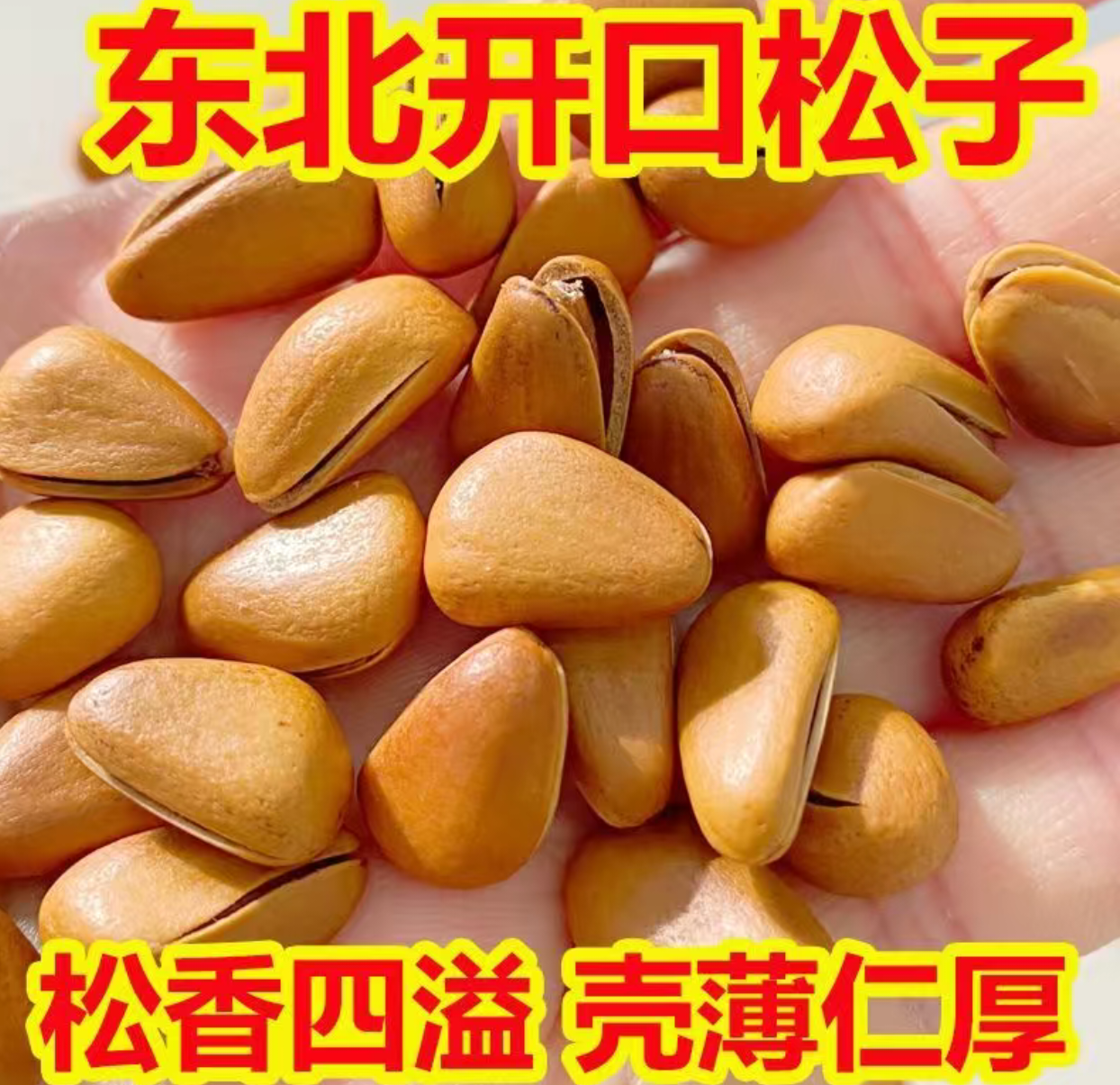【遥遥推荐】东北开口红松子