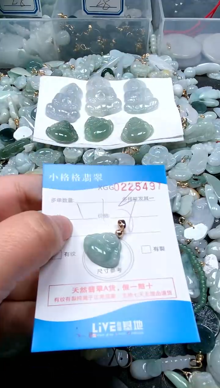 【闪购商品】翡翠颈饰未镶嵌闪购商品0225497