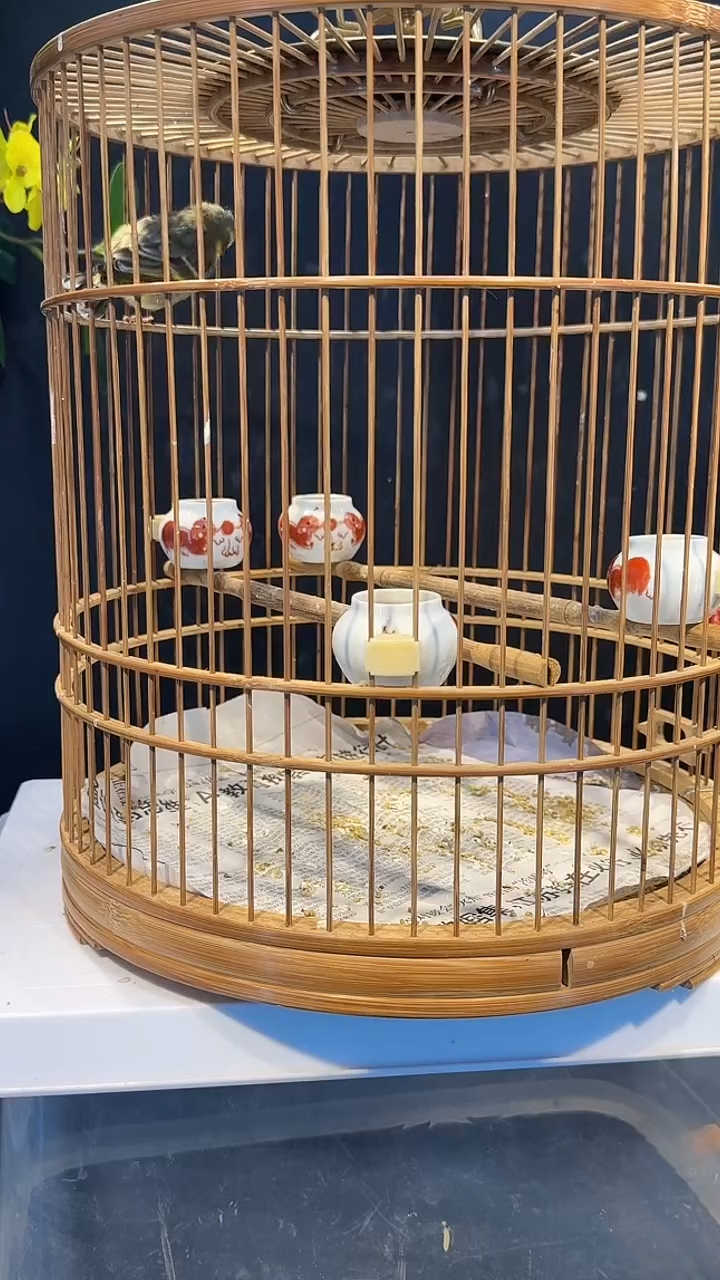 47号  金青养笼  0元起拍