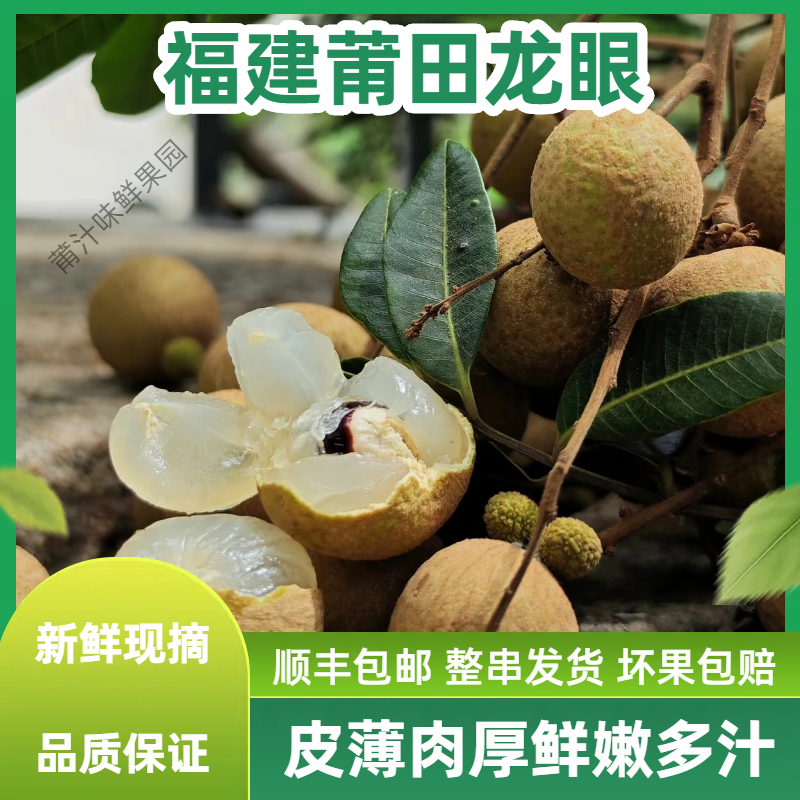 【顺丰空运】福建莆田新鲜龙眼莆汁味现摘现发当季清甜多汁水果桂圆
