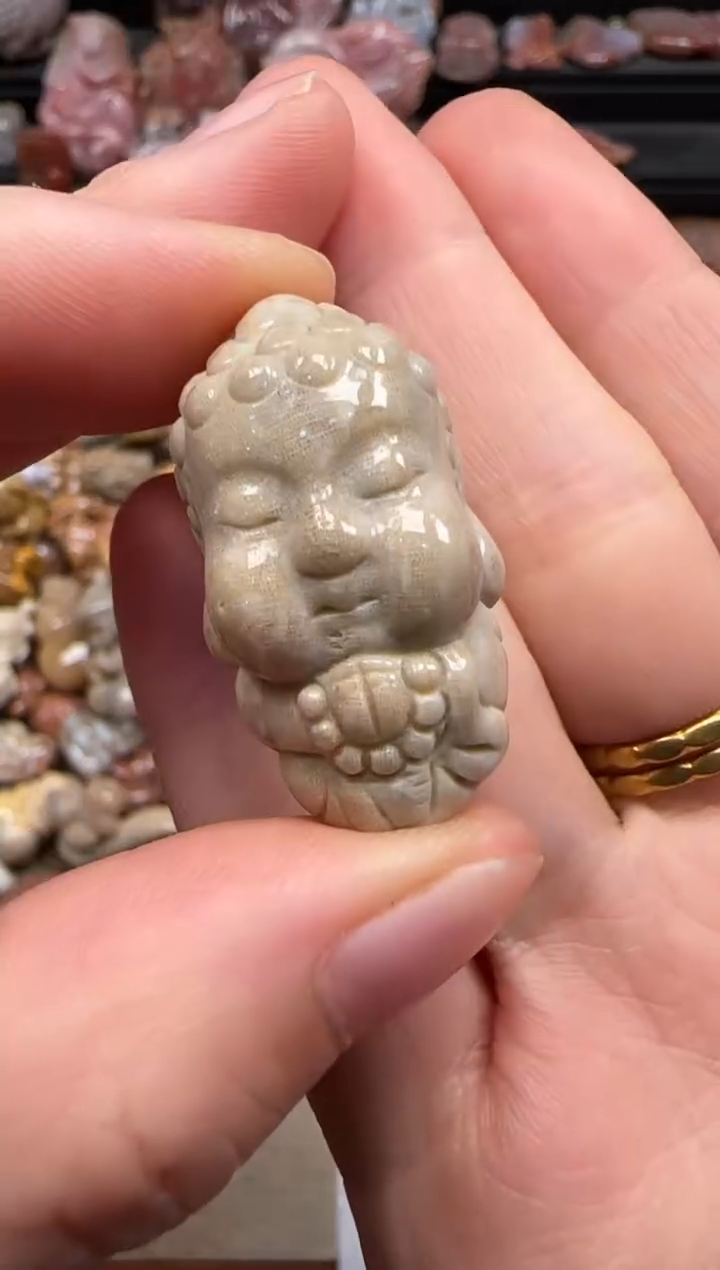 【闪购商品】硅化珊瑚（珊瑚玉）颈饰未镶嵌194