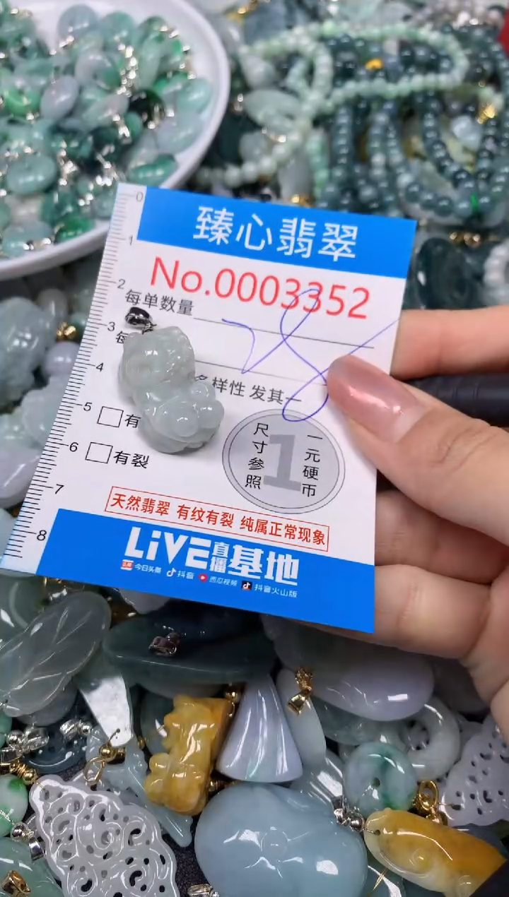 【闪购商品】翡翠颈饰未镶嵌含绳0003352