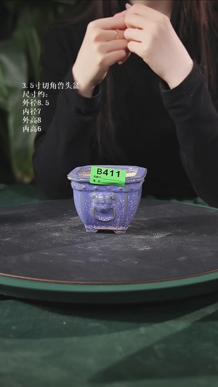 【石湾花盆】3.5寸切角兽头盆411