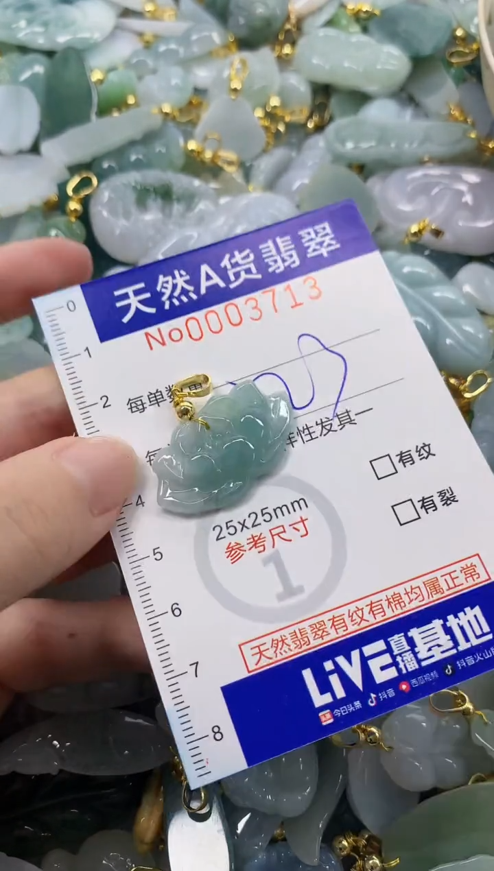 颈饰未镶嵌翡翠天然A货翡翠