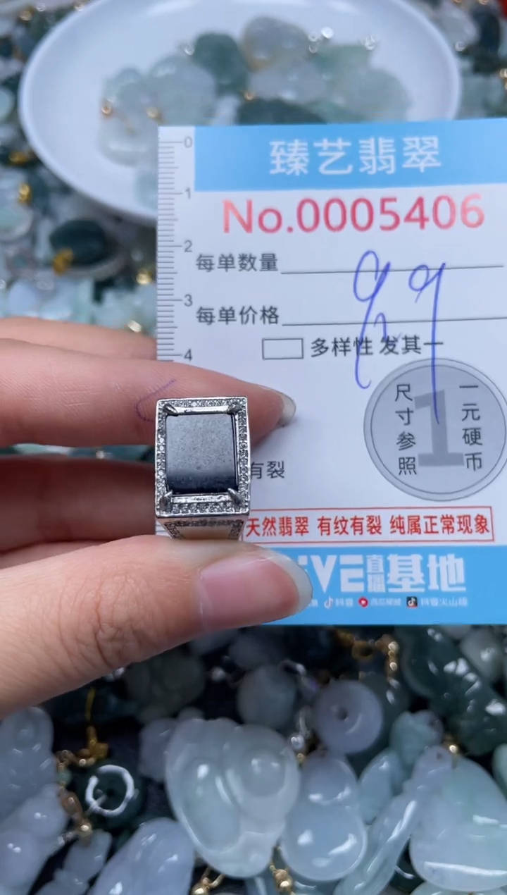 颈饰未镶嵌翡翠5406