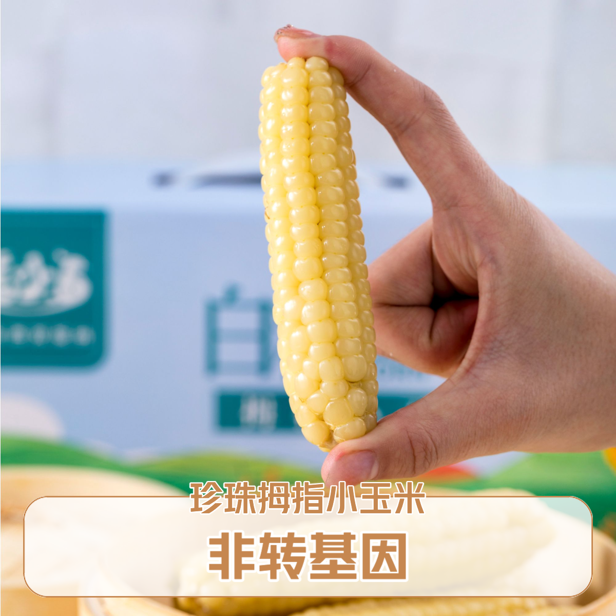 吃小点®A果【白糯拇指小玉米】香甜软糯 新鲜采摘（云南农科院出品）