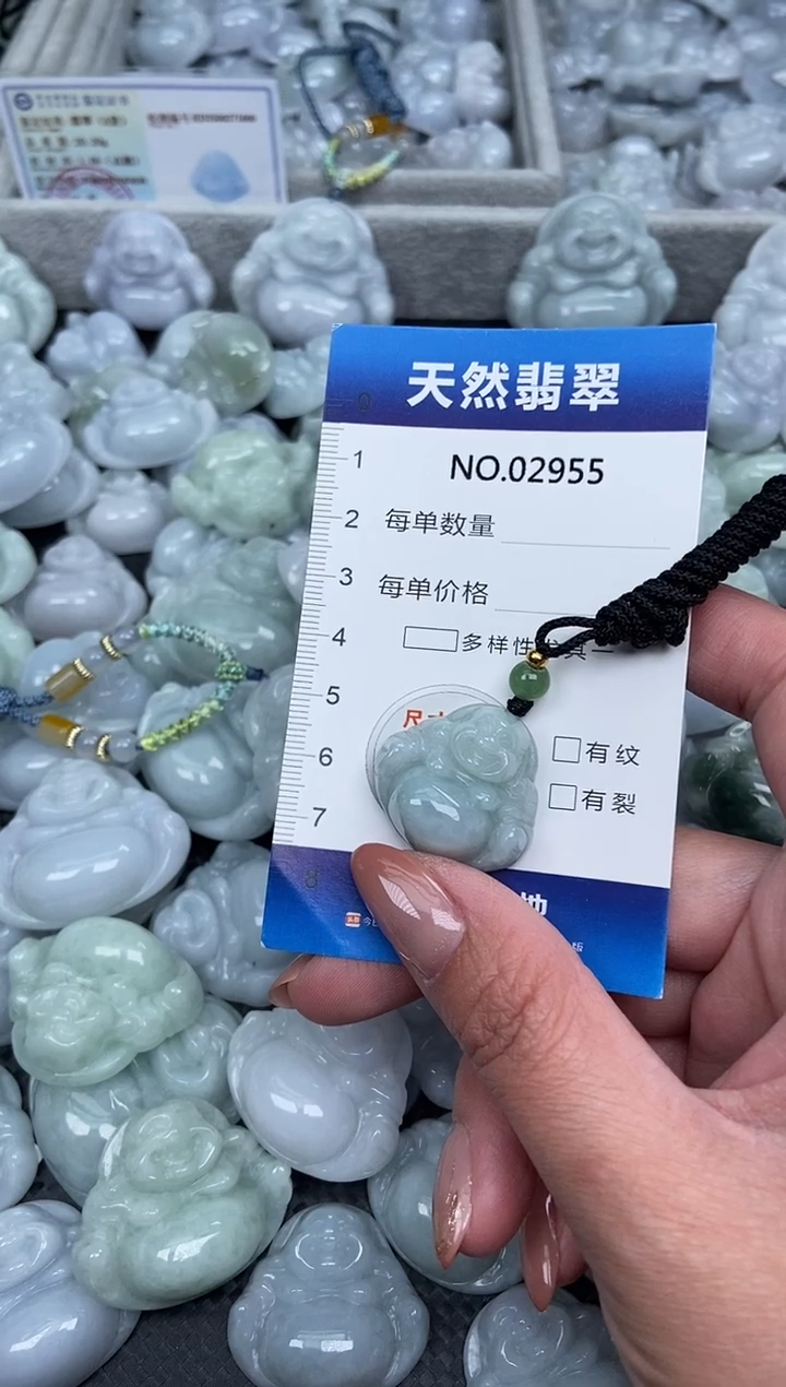 颈饰未镶嵌翡翠纯天然A货翡翠2955