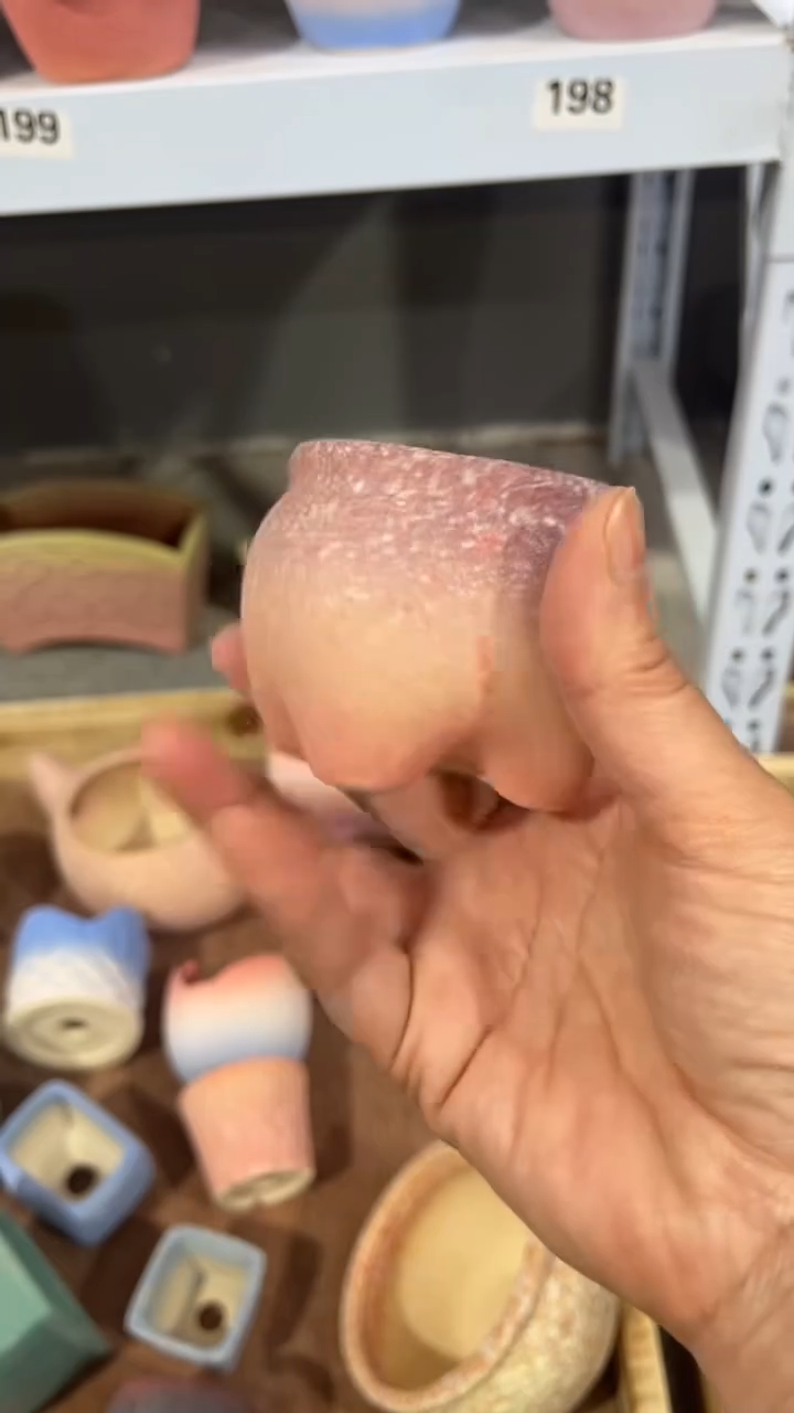 【闪购商品】红陶5*5