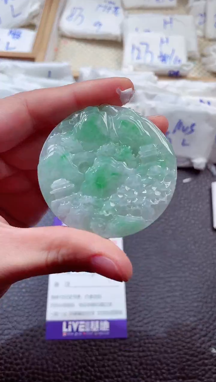 翡翠未镶嵌颈饰00002892