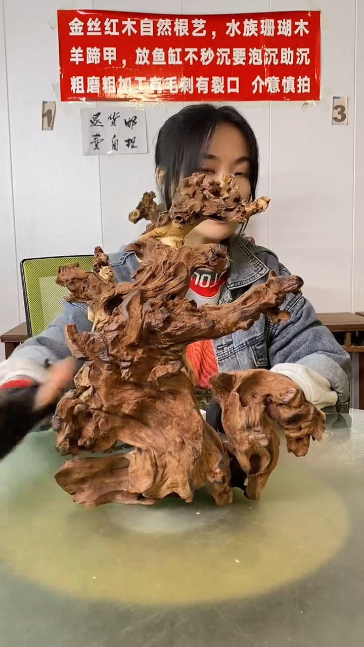 木典****典金丝红木 羊蹄甲