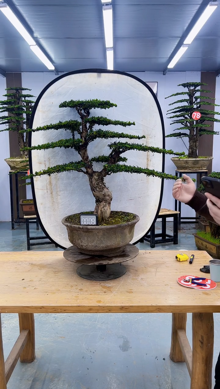 以实际为准00000000