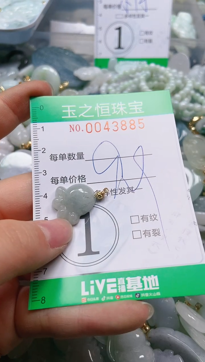 【闪购商品】翡翠颈饰未镶嵌闪购0043885