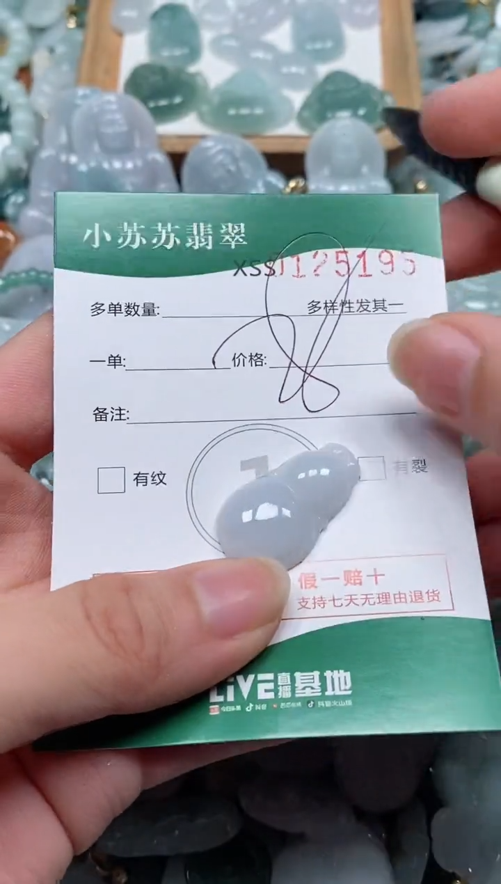 【闪购商品】翡翠颈饰未镶嵌闪购商品0125195