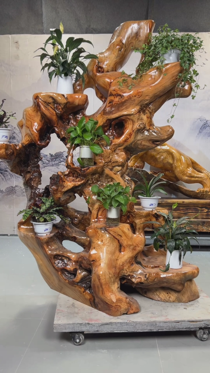 【闪购商品】香樟木整体整木整料