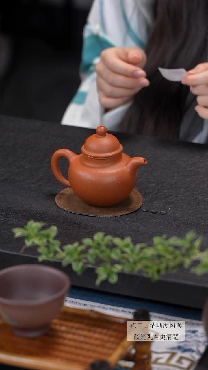 茶壶紫砂降坡泥掇球壶精工半手