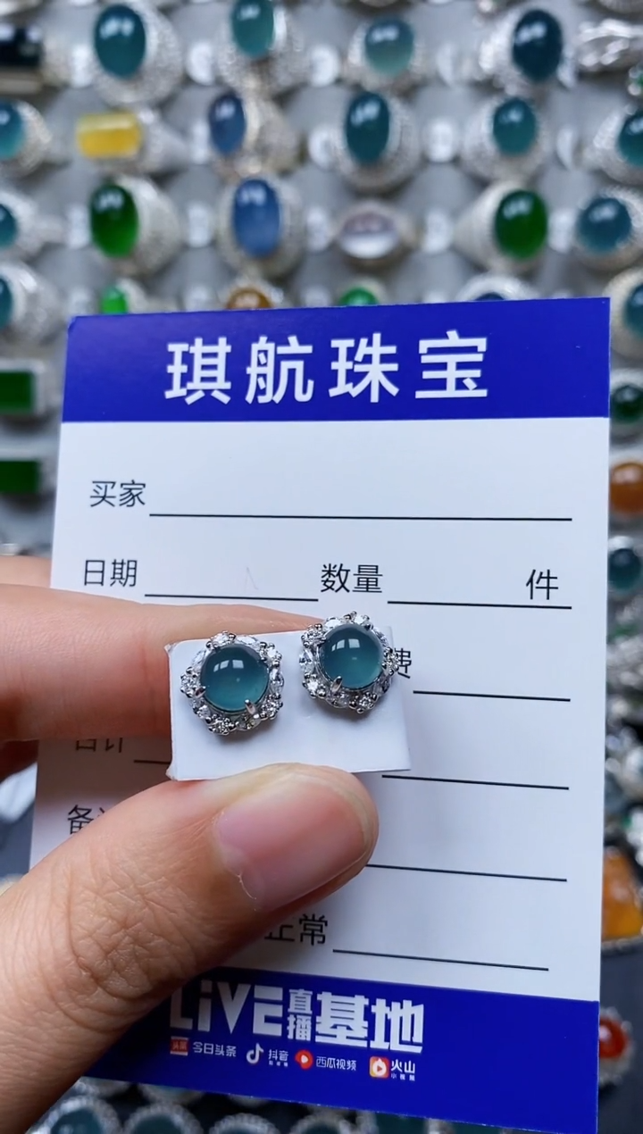 【闪购商品】翡翠耳饰银S925镶嵌0313