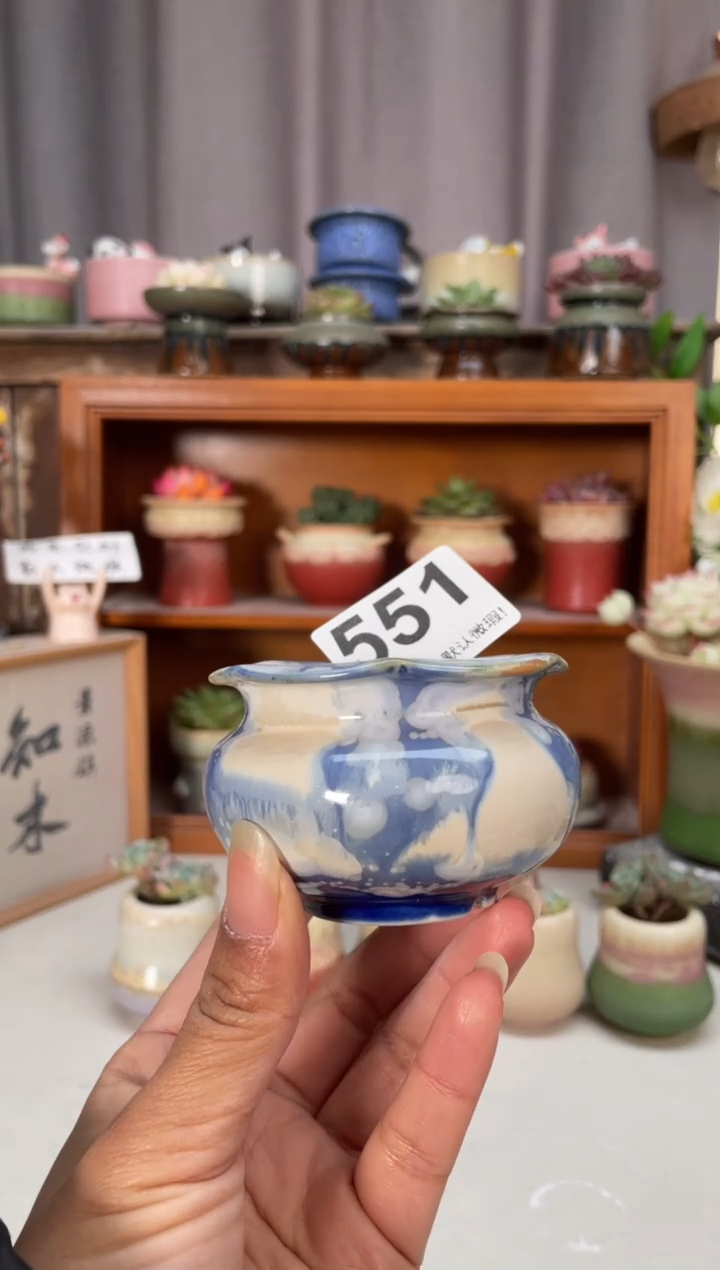 瓷片551小芳直播编号