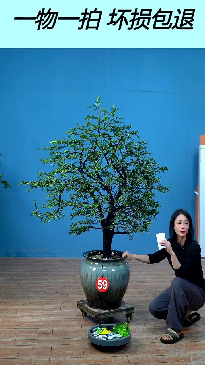 以实际为准C****承广东小叶紫檀